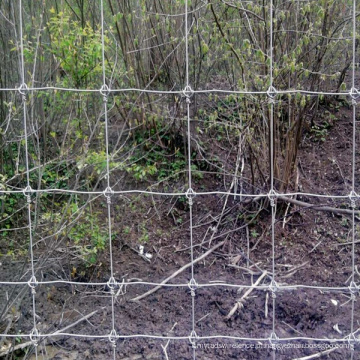 Baixo preço de alta qualidade galvanizado cerca de gado / Animal Fence design (fábrica)